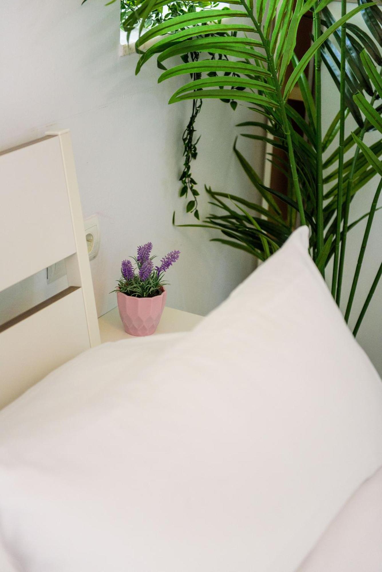 Livingtarifa Apartamento Bianco Екстер'єр фото
